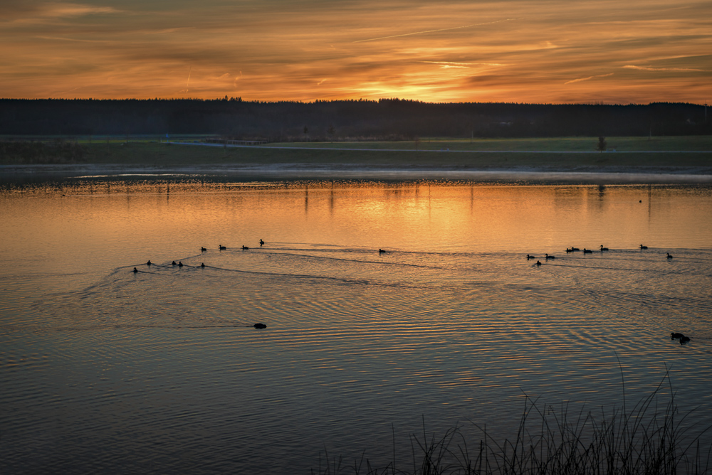 Platz 9 Karoline Thalhofer